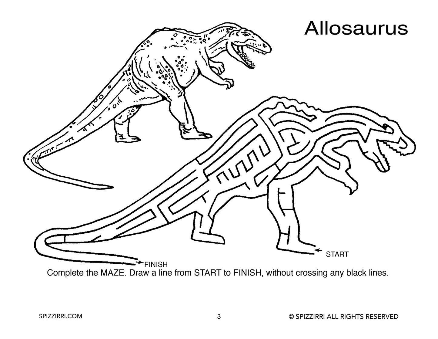 DINOSAUR MAZES 8.5 X 11: Digital Download of An Educational Activity Coloring Book