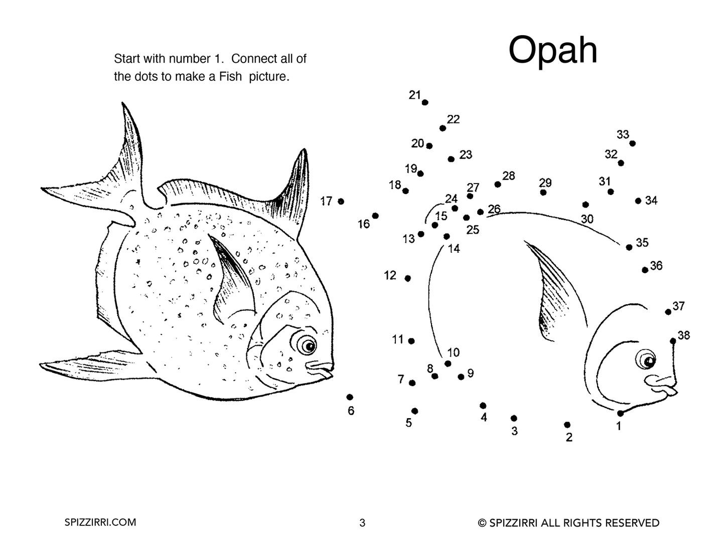DOT TO DOT FISH 8.5 X 11: Digital Download of An Educational Activity Coloring Book
