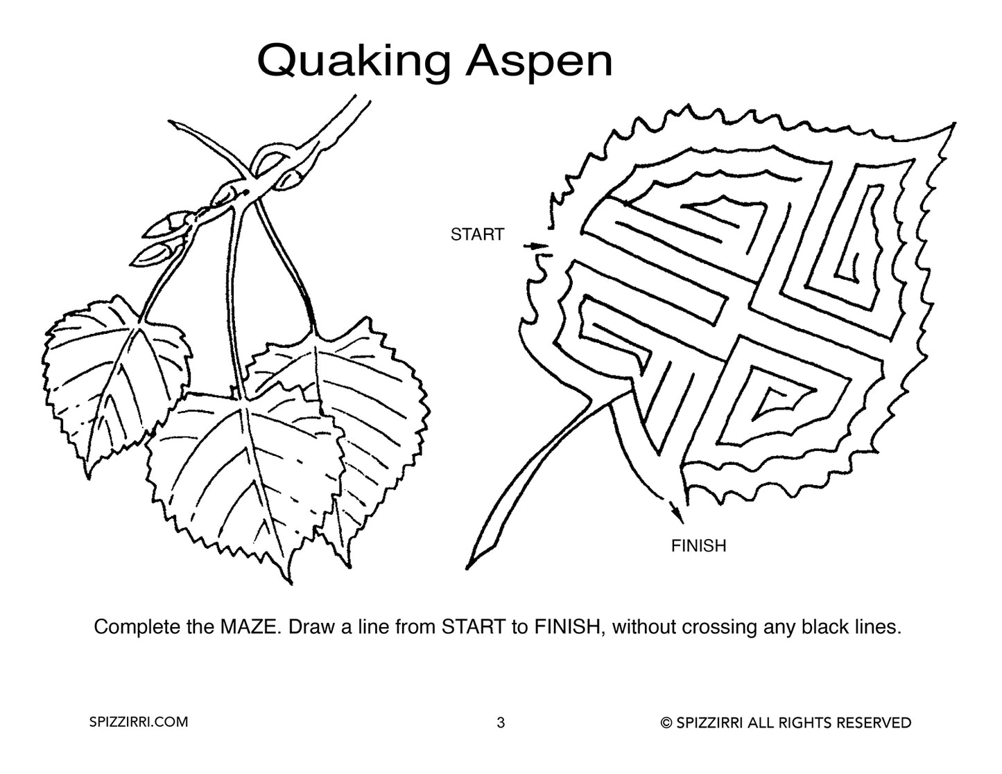 TREE MAZES 8.5 X 11: Digital Download of An Educational Activity Coloring Book