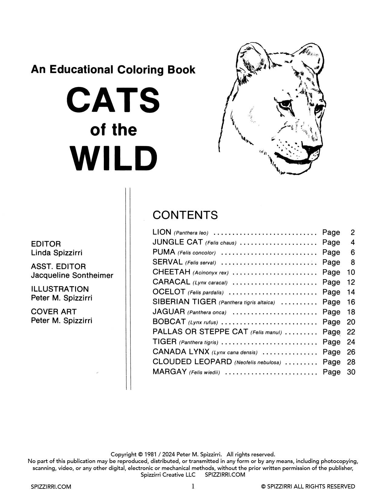 CATS OF THE WILD: Digital Download of An Educational Coloring Book