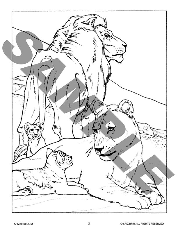 Cats of the Wild
