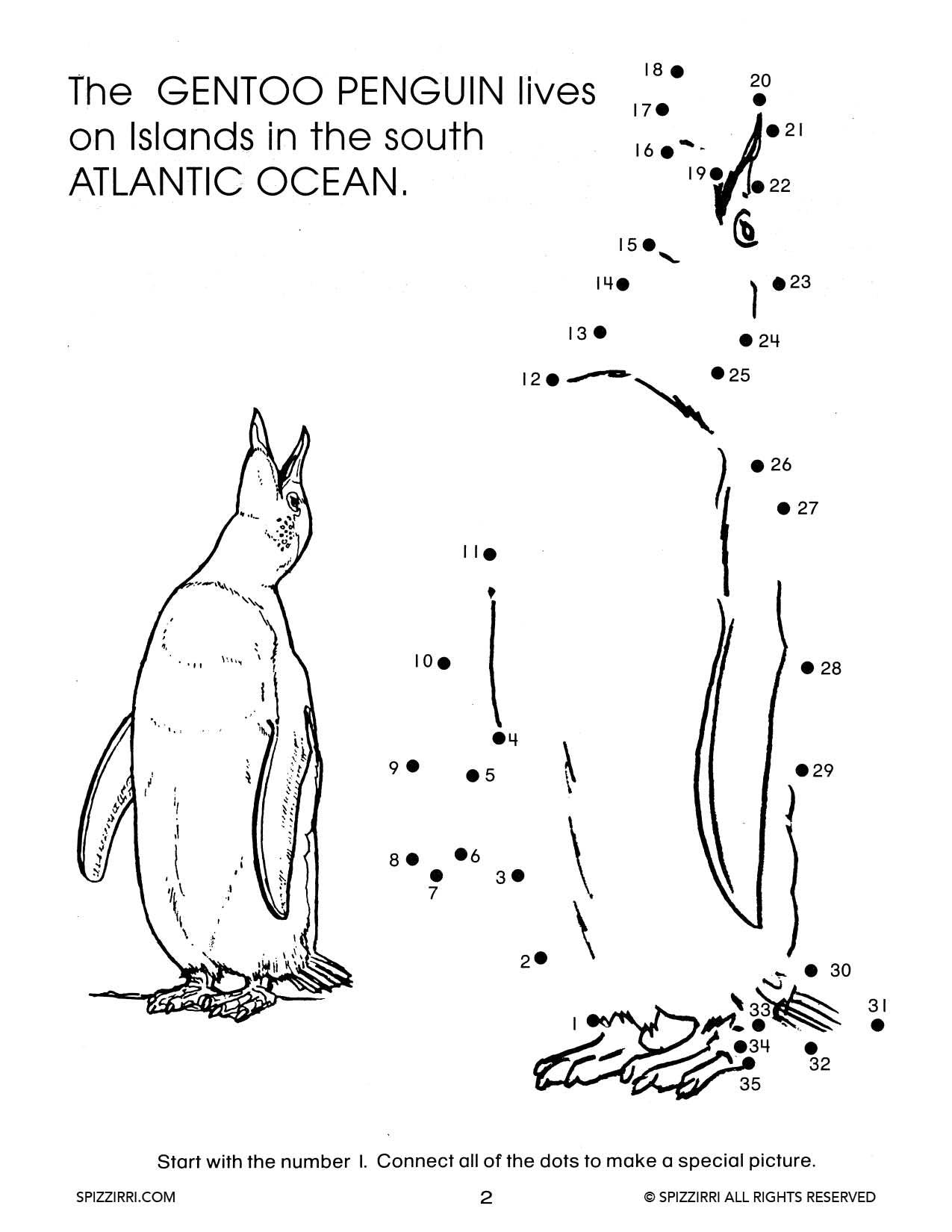 Dot to Dot Numbers: DIGITAL Educational Early Learning Workbook