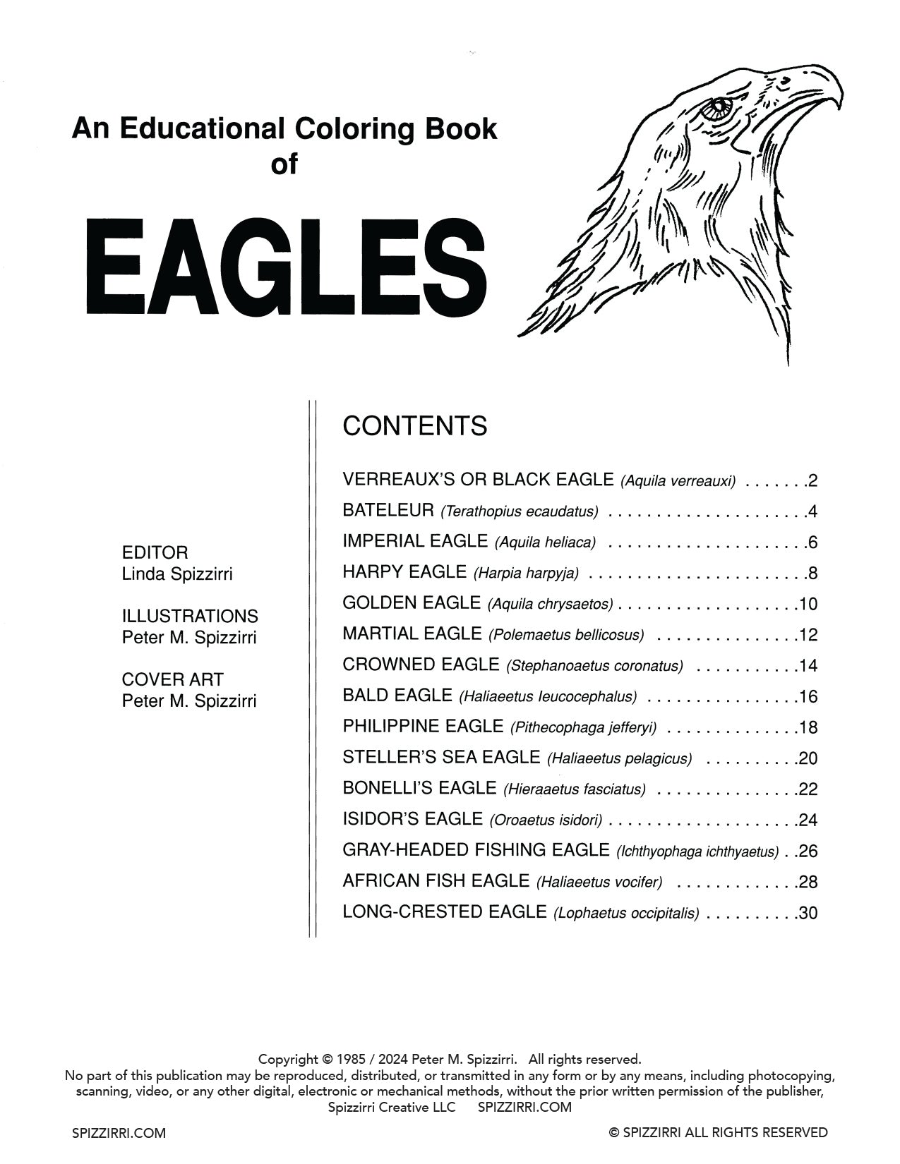 EAGLES: Digital Download of An Educational Coloring Book