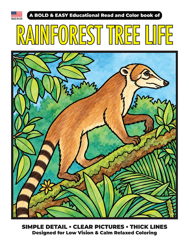 Rainforest Tree Life