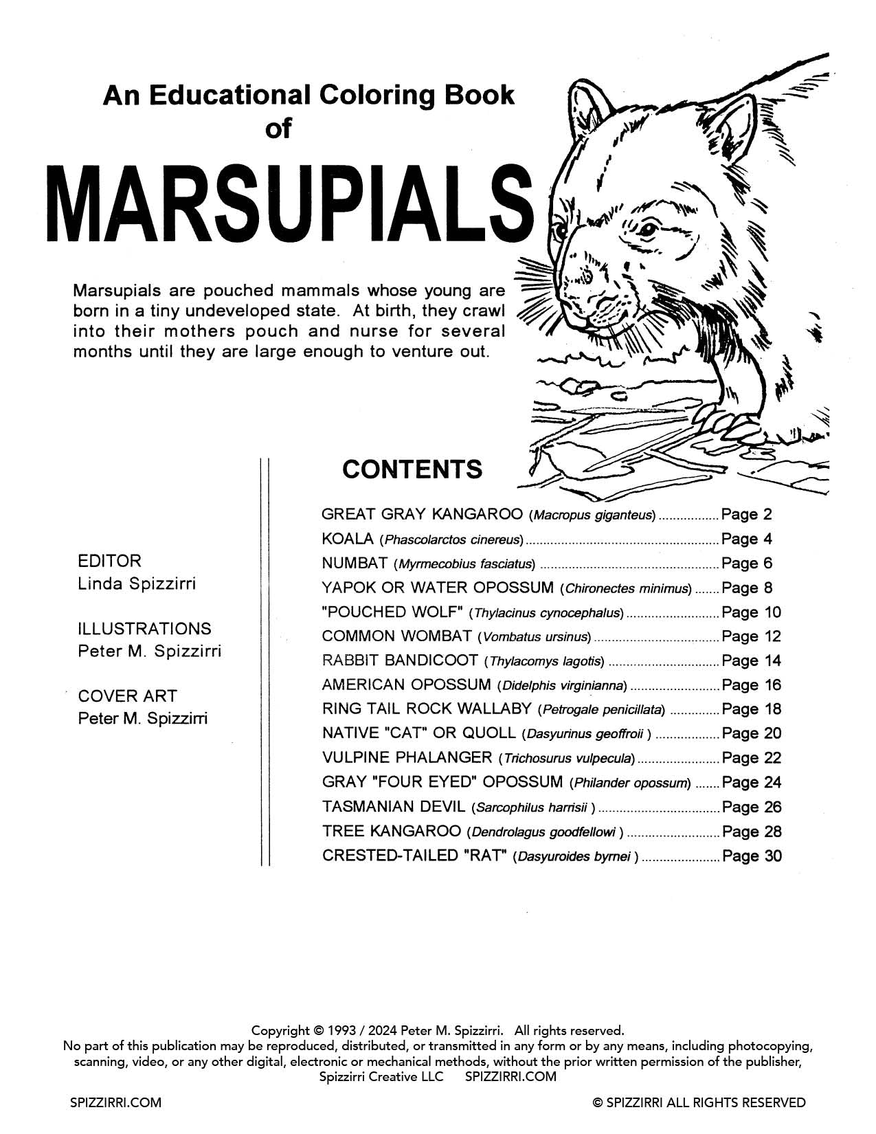 Marsupials: DIGITAL Educational Coloring Book