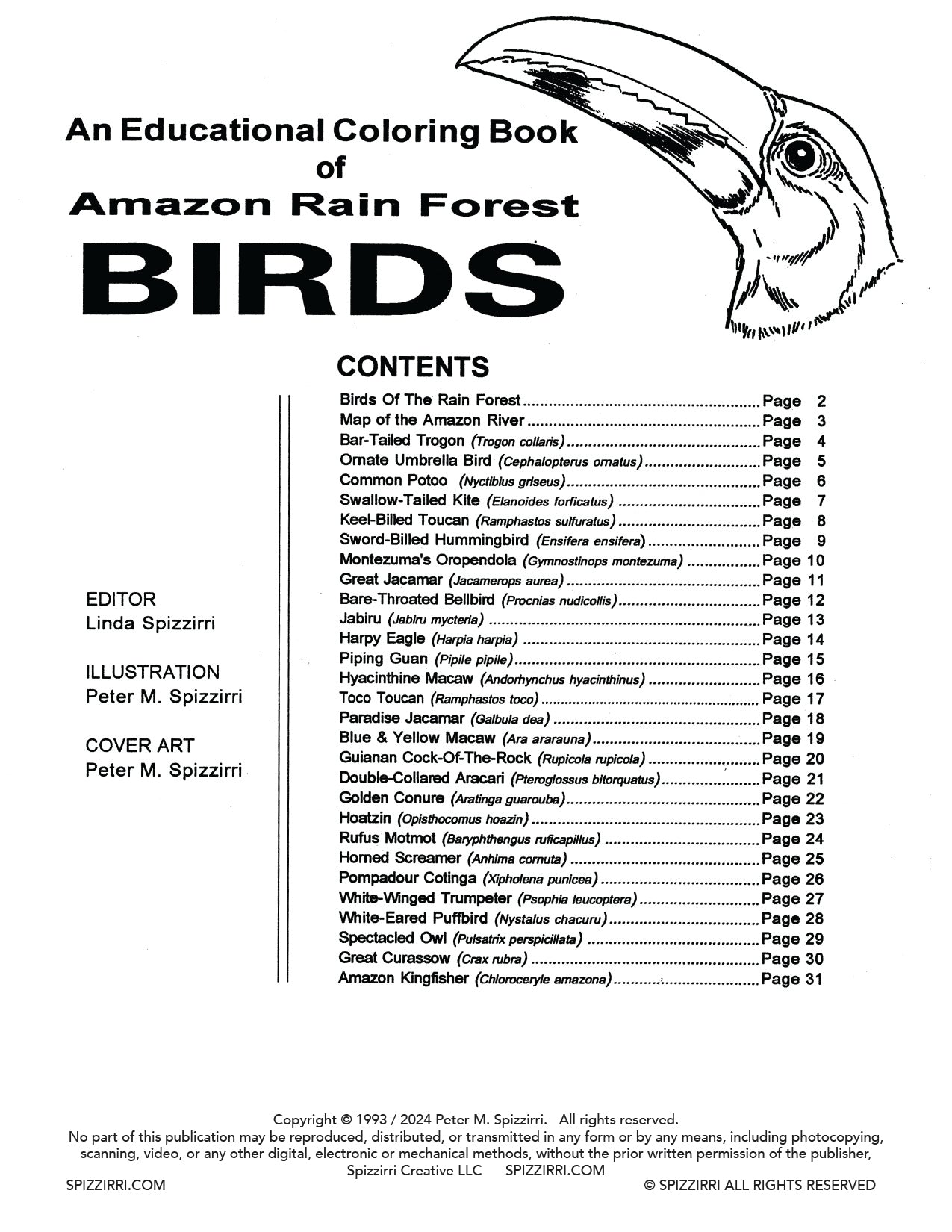 Rain Forest Birds: DIGITAL Educational Coloring Book