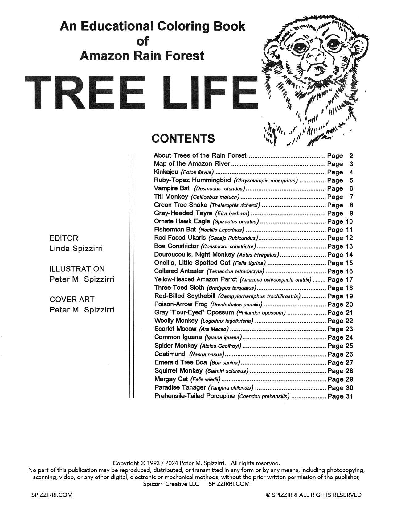 RAIN FOREST TREE LIFE: Digital Download of An Educational Coloring Book