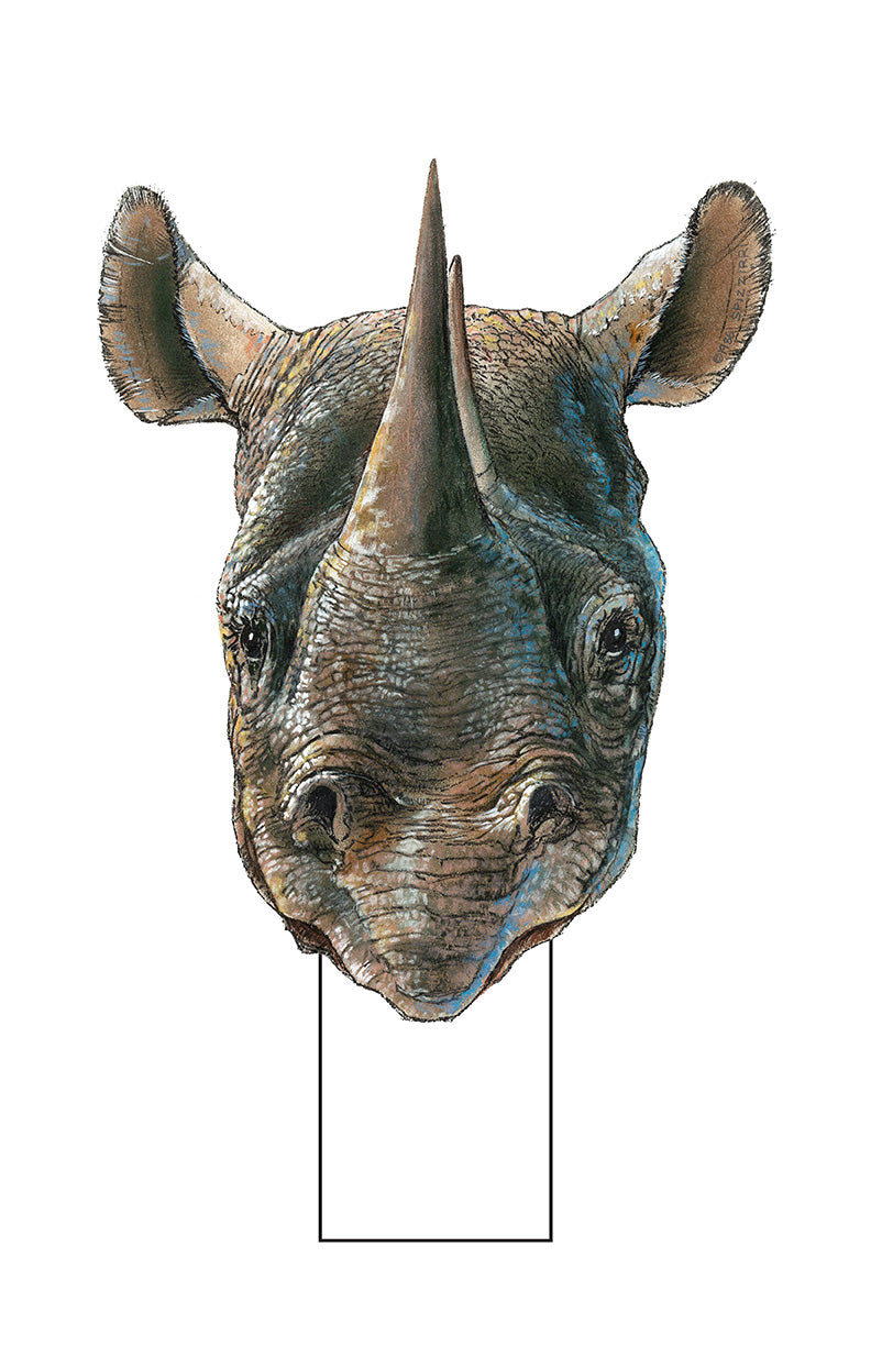 Rhinoceros