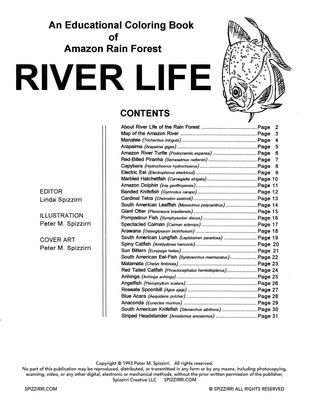 Rainforest River Life: DIGITAL Educational Coloring Book