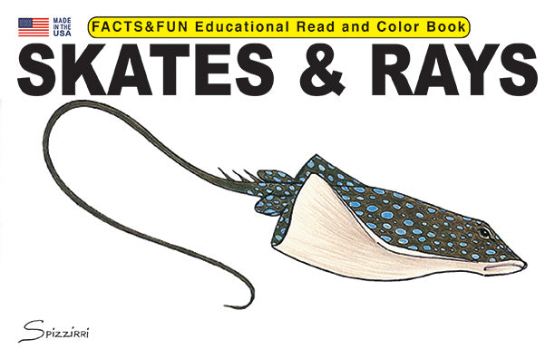 Skates and Rays - Facts & Fun