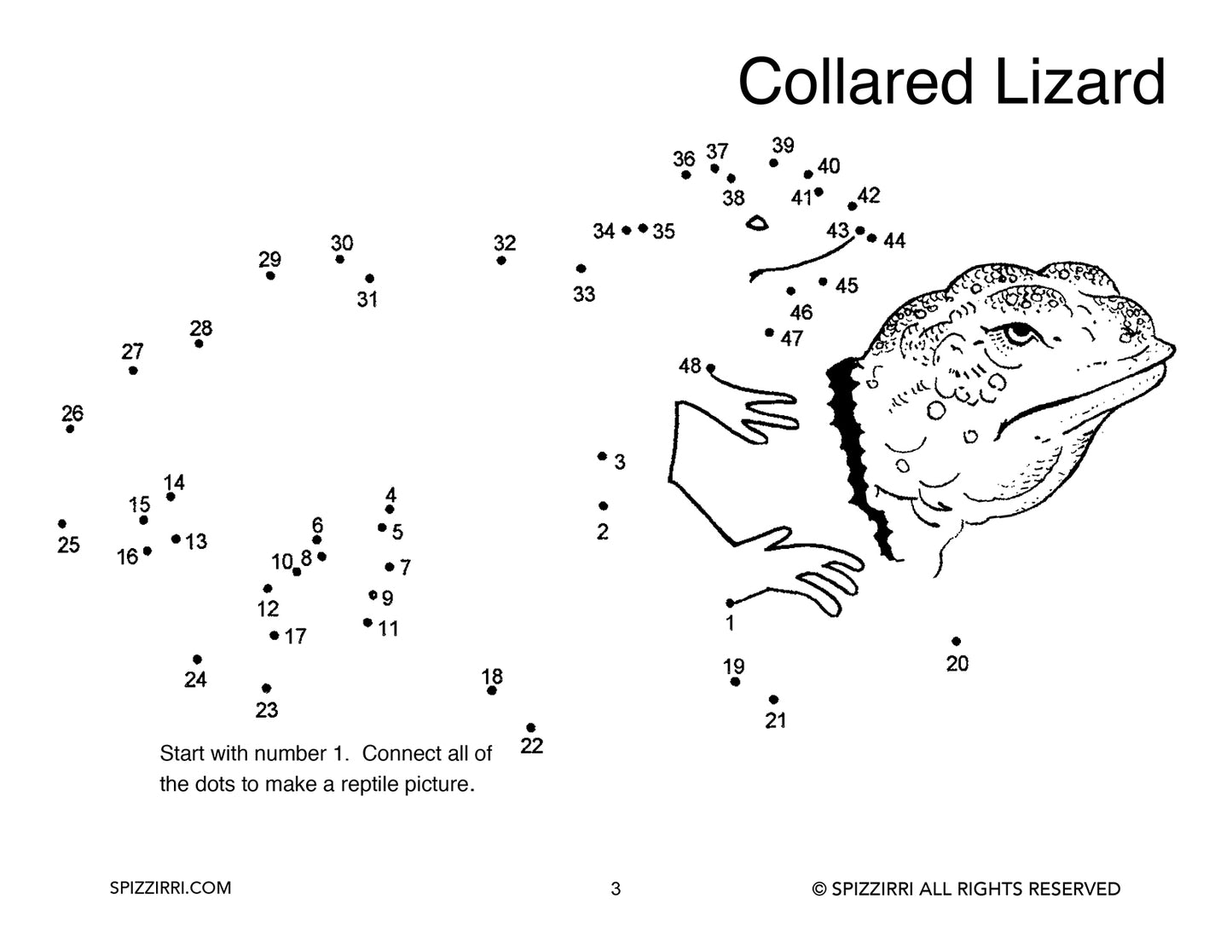DOT TO DOT REPTILES 8.5 X 11: Digital Download of An Educational Activity Coloring Book