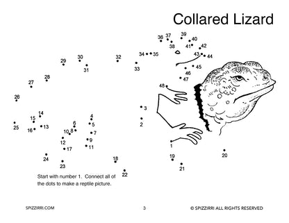 DOT TO DOT REPTILES 8.5 X 11: Digital Download of An Educational Activity Coloring Book