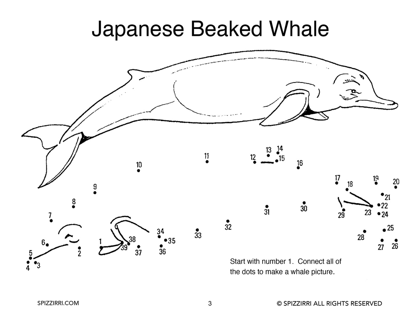 DOT TO DOT WHALES 8.5 X 11: Digital Download of An Educational Activity Coloring Book