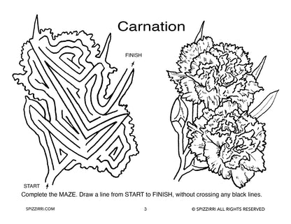 FLOWER MAZES 8.5 X 11: Digital Download of An Educational Activity Coloring Book