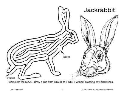 MAMMAL MAZES 8.5 X 11: Digital Download of An Educational Activity Coloring Book