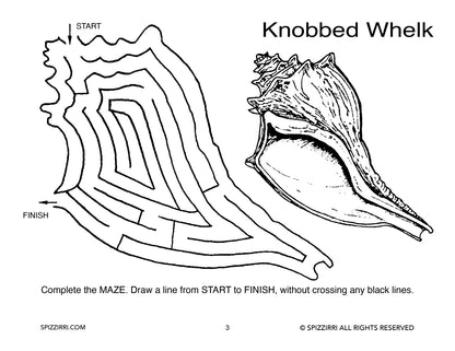 SHELL MAZES 8.5 X 11: Digital Download of An Educational Activity Coloring Book