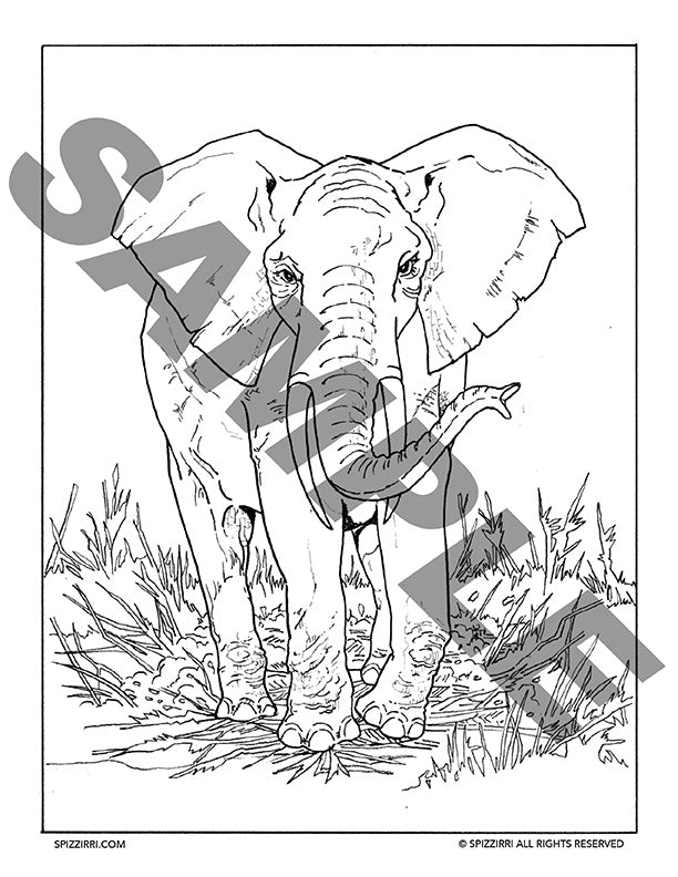 Animal Giants