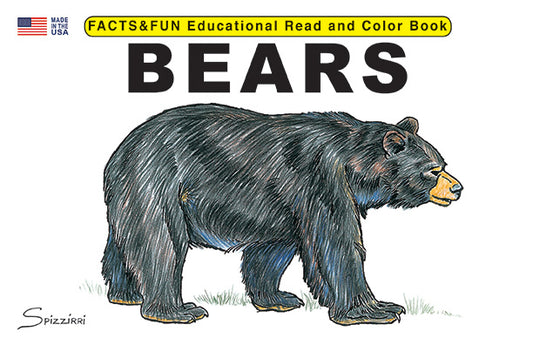 Bears - Facts & Fun