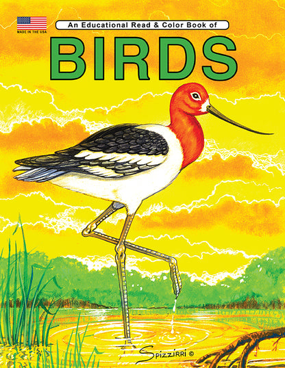 BIRDS: Digital Download of An Educational Coloring Book