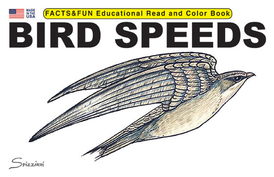 Bird Speeds - Facts & Fun