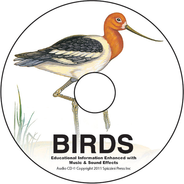 Birds: DIGITAL Educational Coloring Book