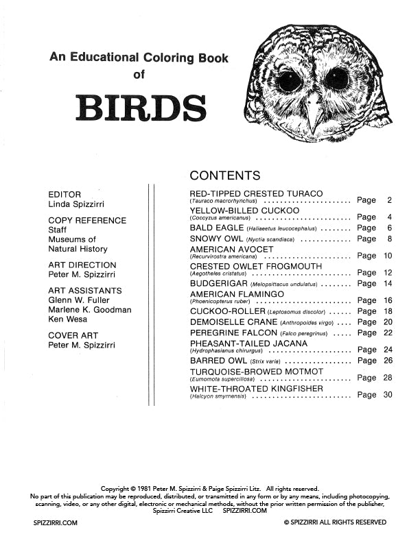 Birds