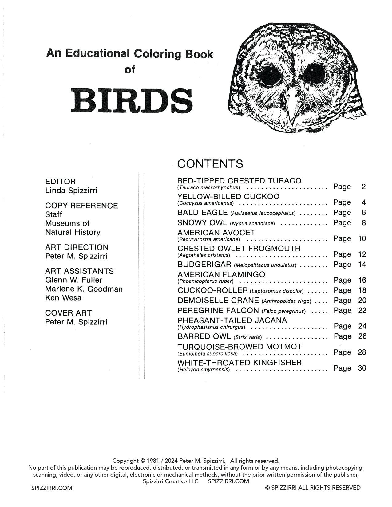 BIRDS: Digital Download of An Educational Coloring Book