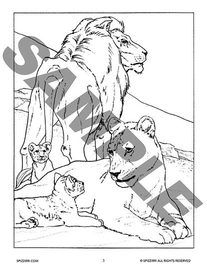 Cats of the Wild
