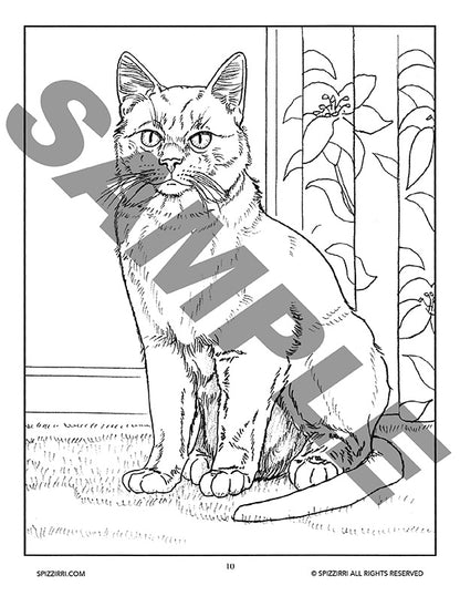 Cats