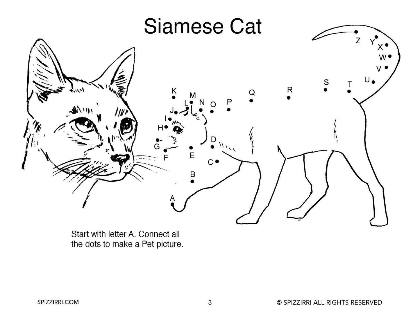 ALPHABET DOT TO DOT PETS 8.5 X 11: Digital Download of An Educational Activity Coloring Book