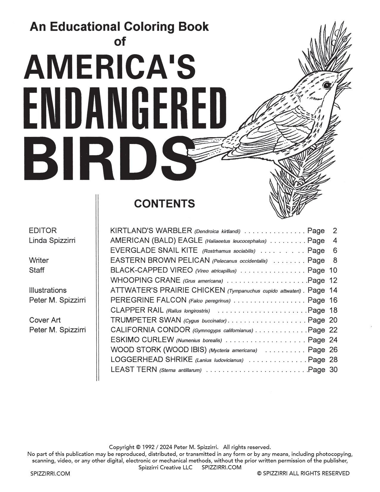 ENDANGERED BIRDS: Digital Download of an Educational Coloring Book