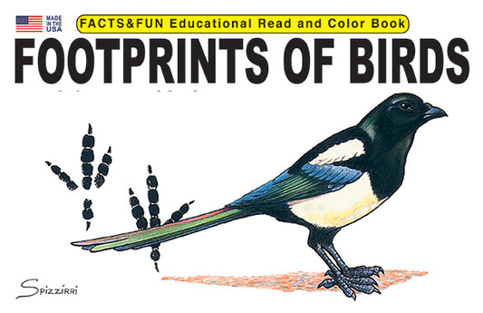 Footprints of Birds - Facts & Fun