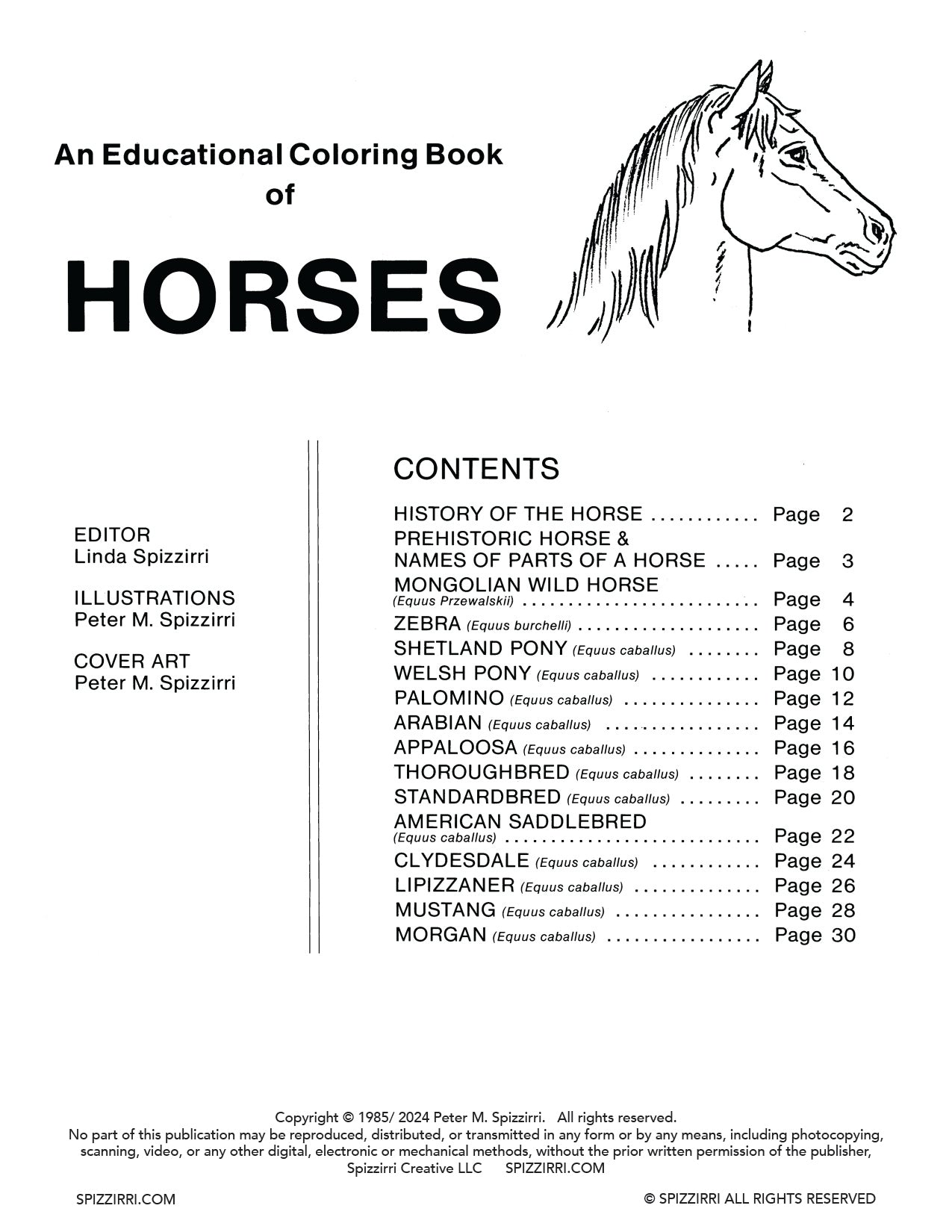 HORSES: Digital Download of An Educational Coloring Book