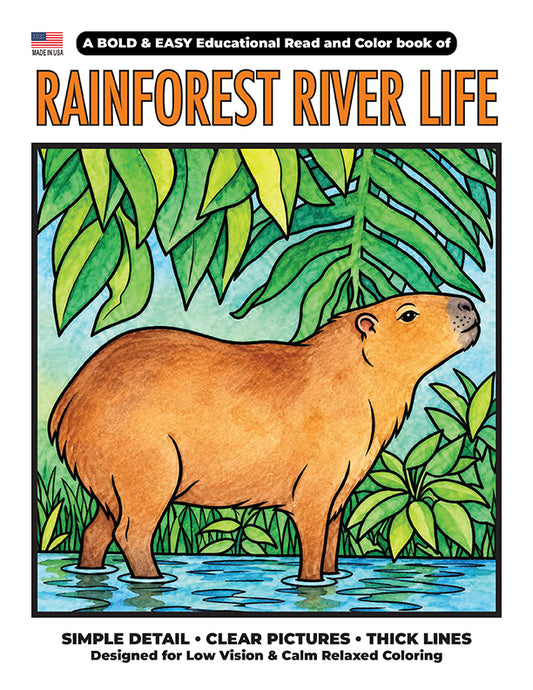 Rainforest River Life