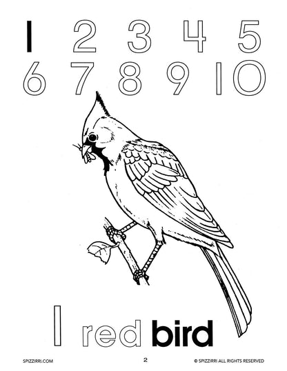 NUMBERS & COLORS: Digital Download of An Early Learning Workbook