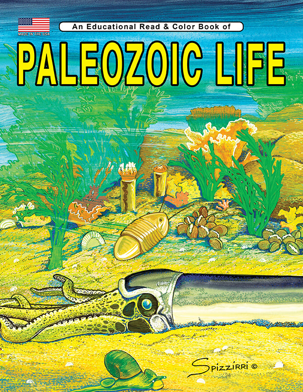 Paleozoic Life