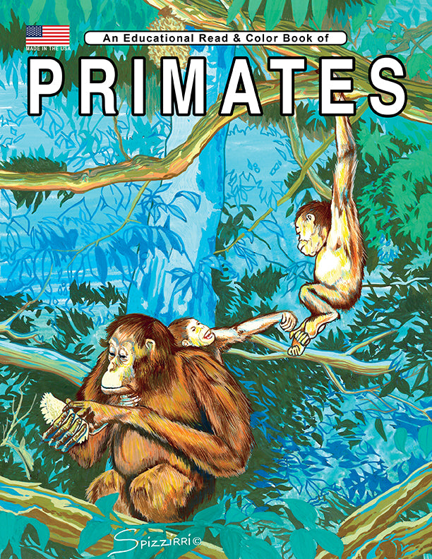 Primates