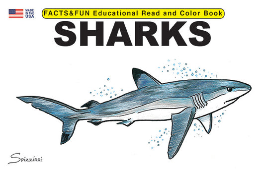 Sharks - Facts & Fun