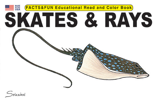 Skates and Rays - Facts & Fun