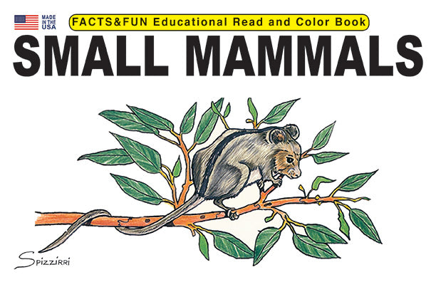 Small Mammals - Facts & Fun