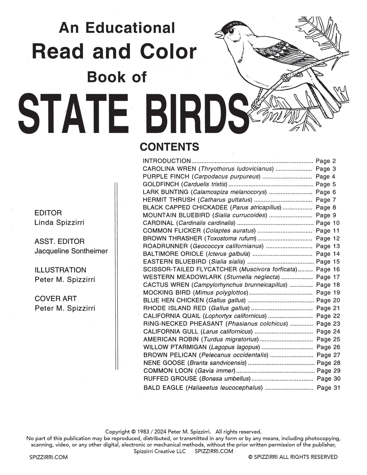 STATE BIRDS: Digital Download of An Educational Coloring Book