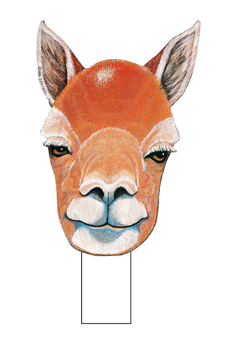 Vicuna