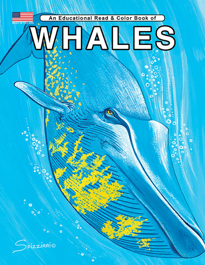 WHALES: Digital Download of An Educational Coloring Book