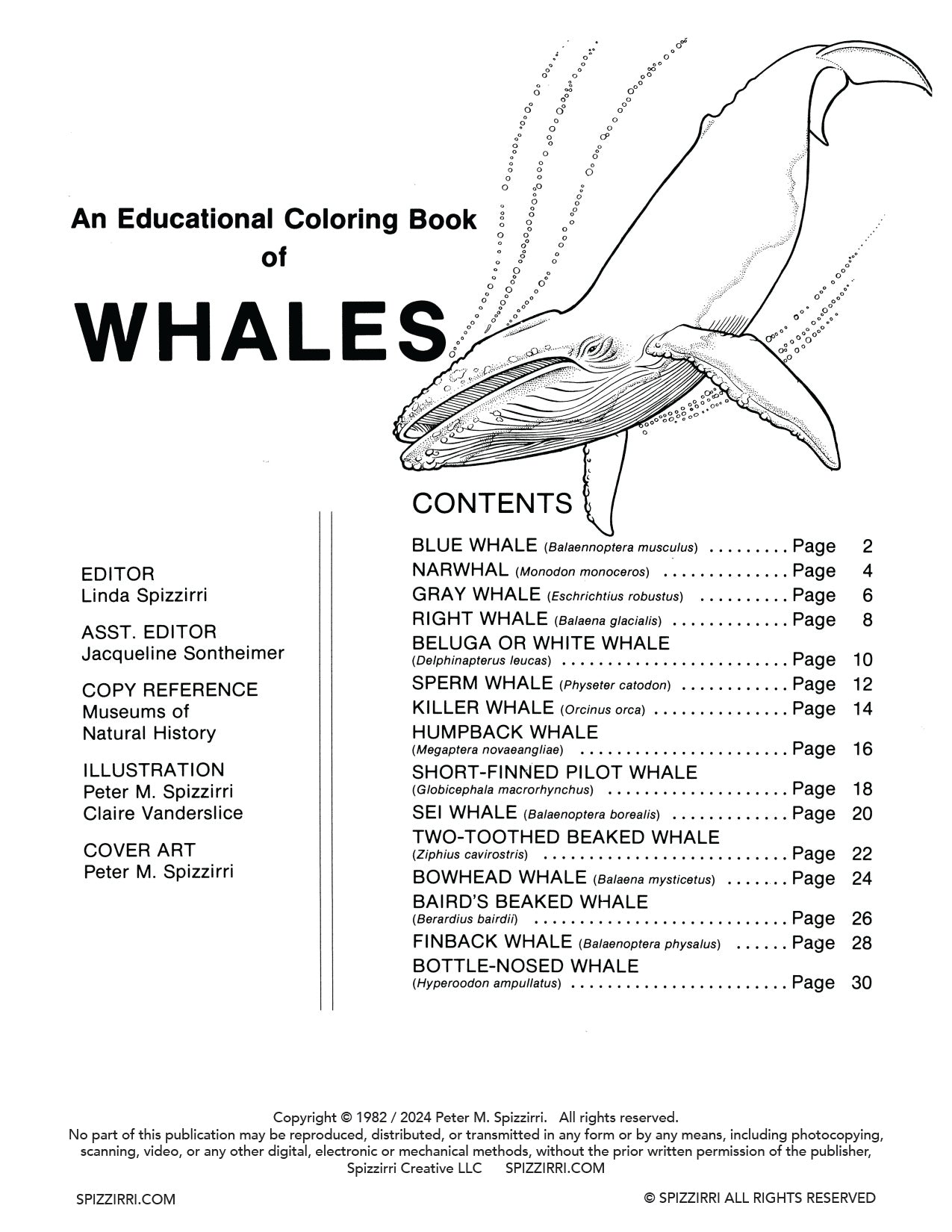 WHALES: Digital Download of An Educational Coloring Book