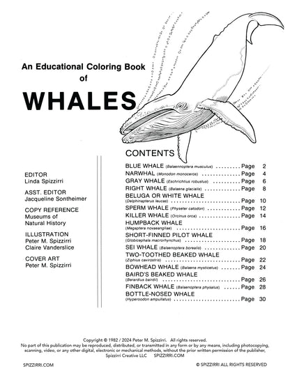 WHALES: Digital Download of An Educational Coloring Book