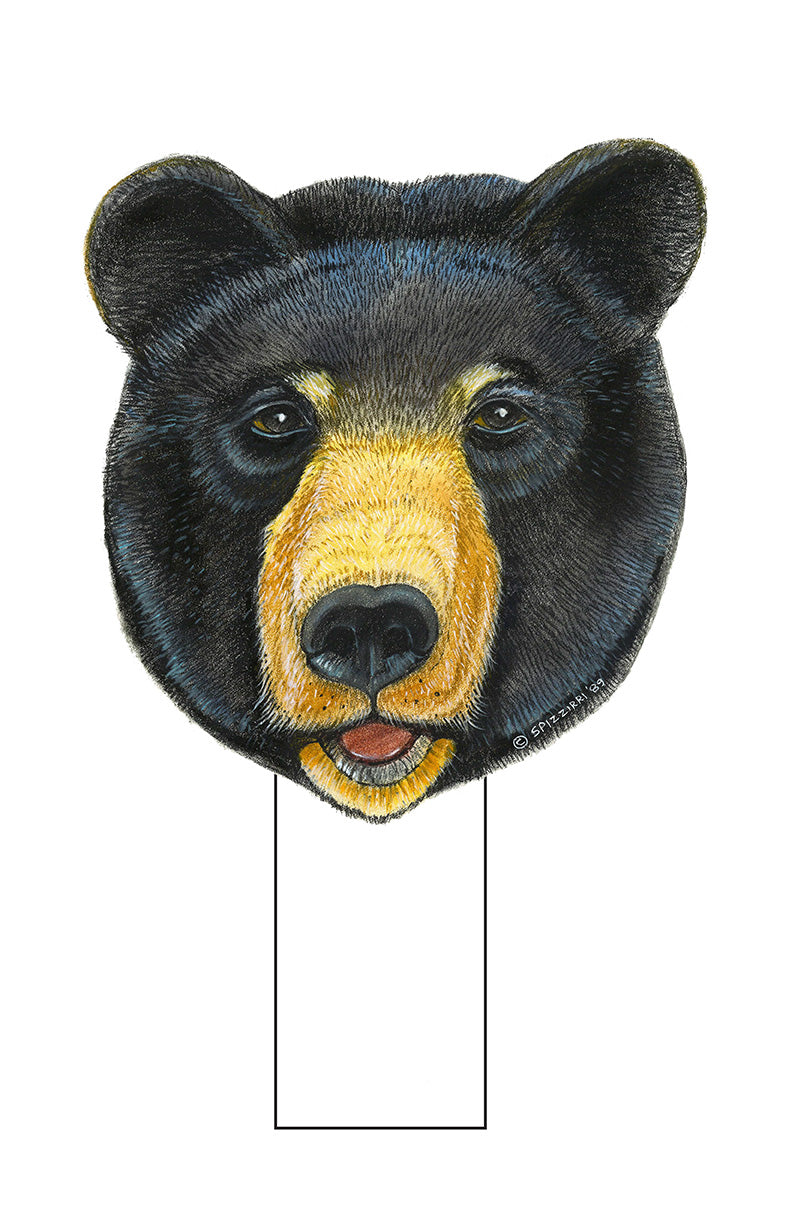 Black Bear