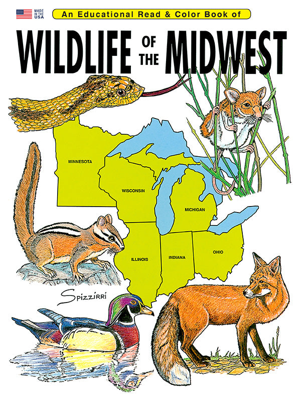 Native Midwest Animals Worksheet.pdf Wildlife of the Midwest – Spizzirri Creative LLC