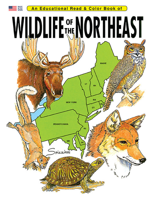 Wildlife of the Northeast