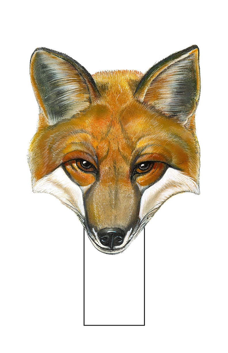 Red Fox